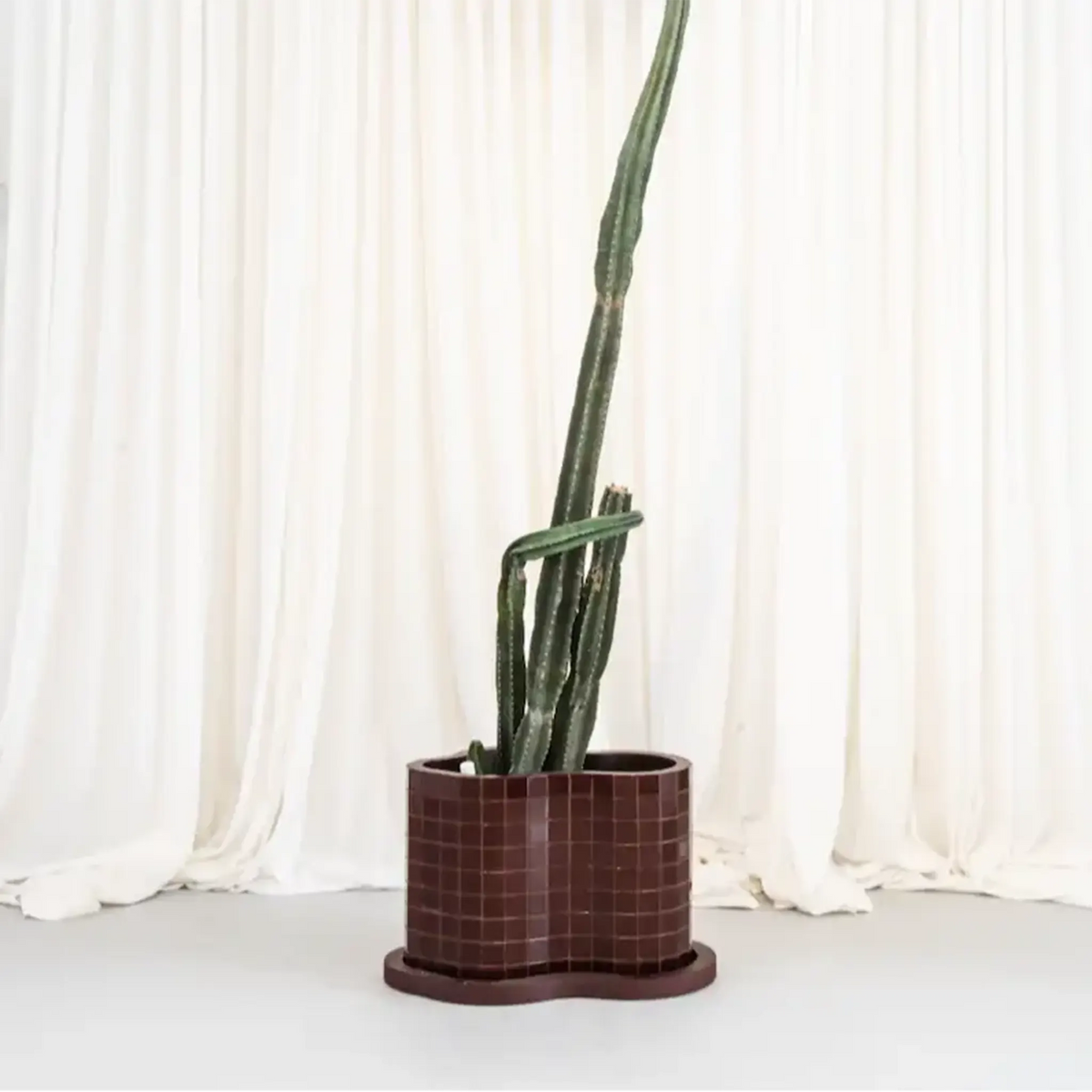 Planters & Outdoor Accessories
