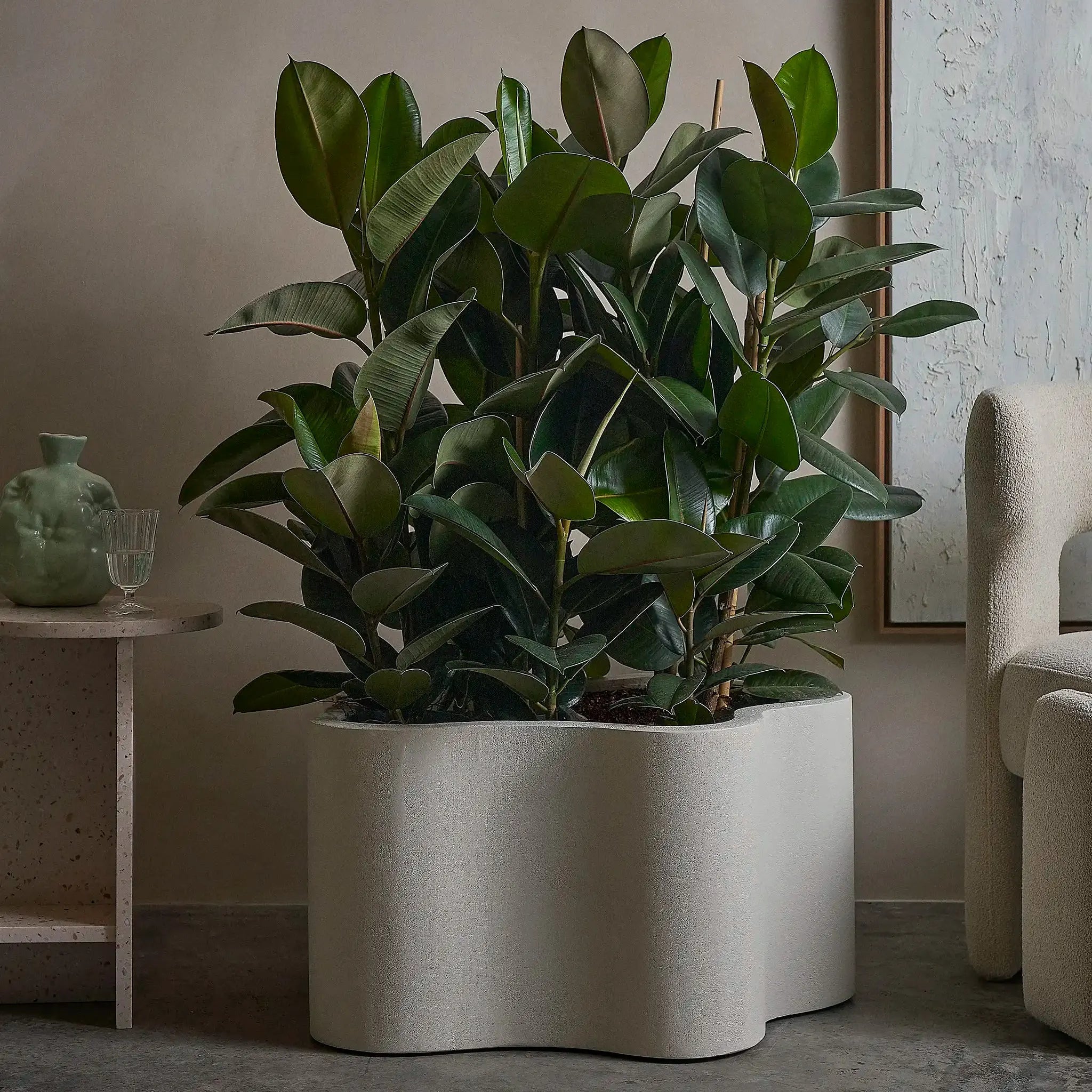 The Rupert Microplaster Planter