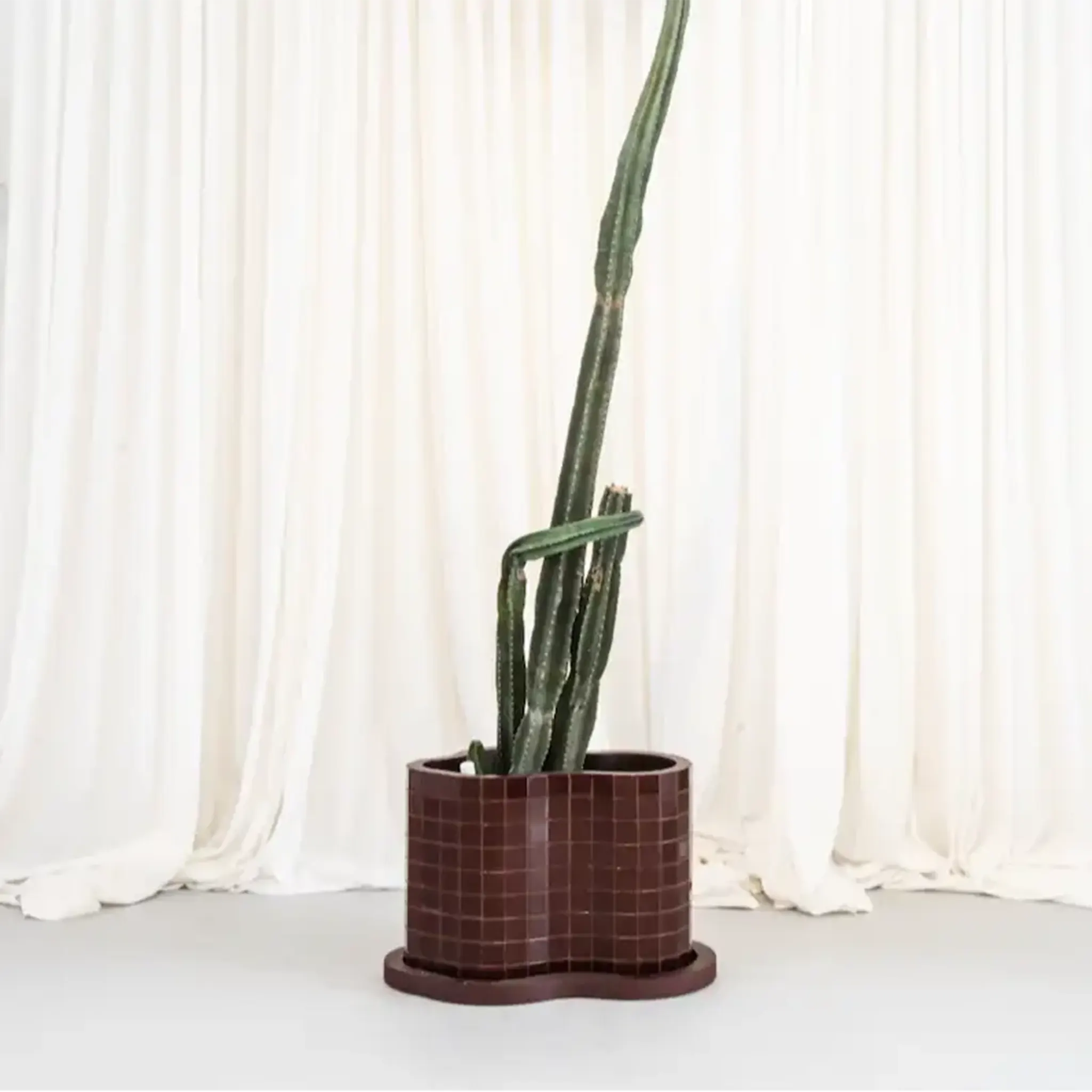 Planters & Outdoor Accessories