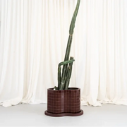 Planters & Outdoor Accessories