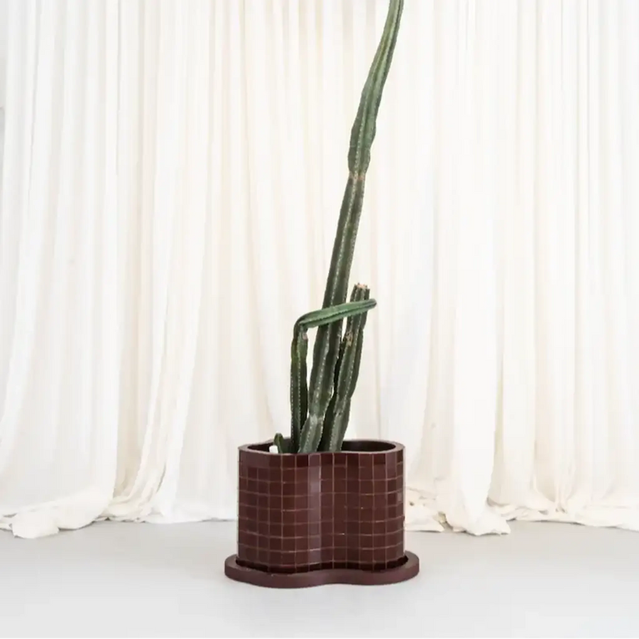 Planters & Outdoor Accessories