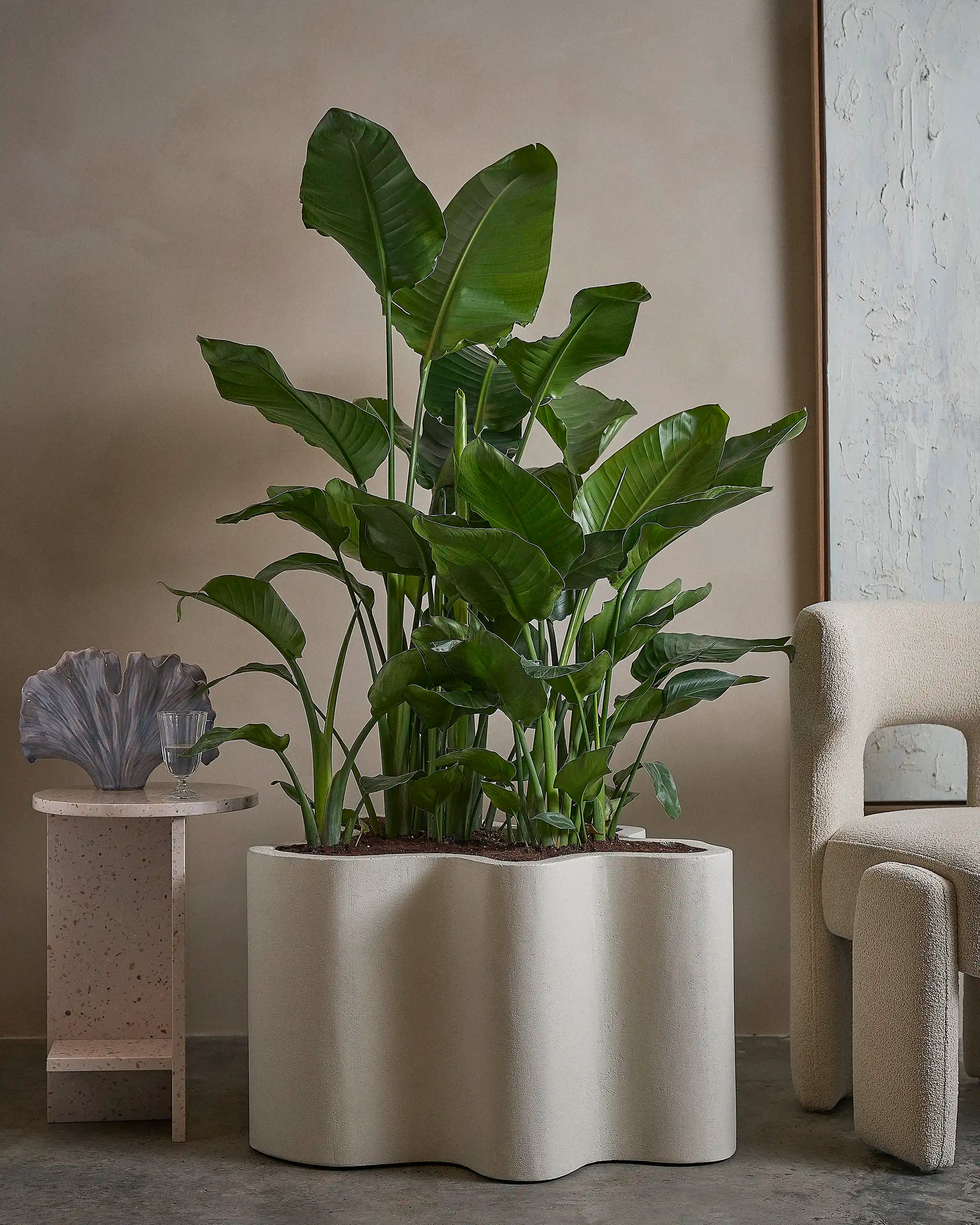 The Rupert Microplaster Planter