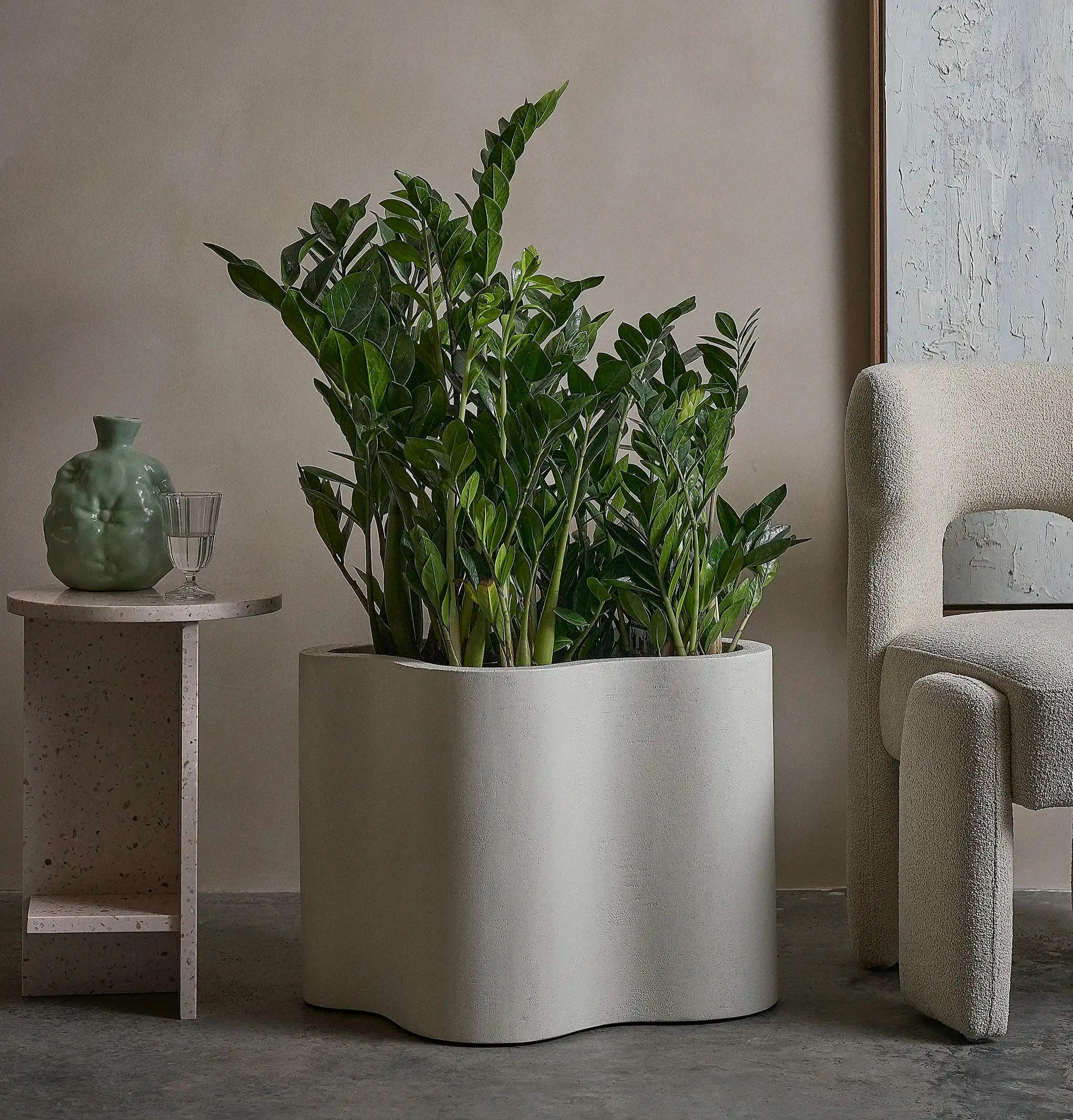 The Rupert Microplaster Planter