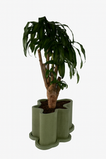 Load image into Gallery viewer, The Rupert Planter
