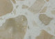 Beige Canyon Terrazzo