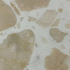 Beige Canyon Terrazzo
