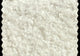 Boucle White