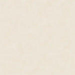 Load image into Gallery viewer, Dove
