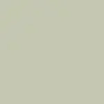 Load image into Gallery viewer, Dusk Green
