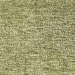 زعتر
