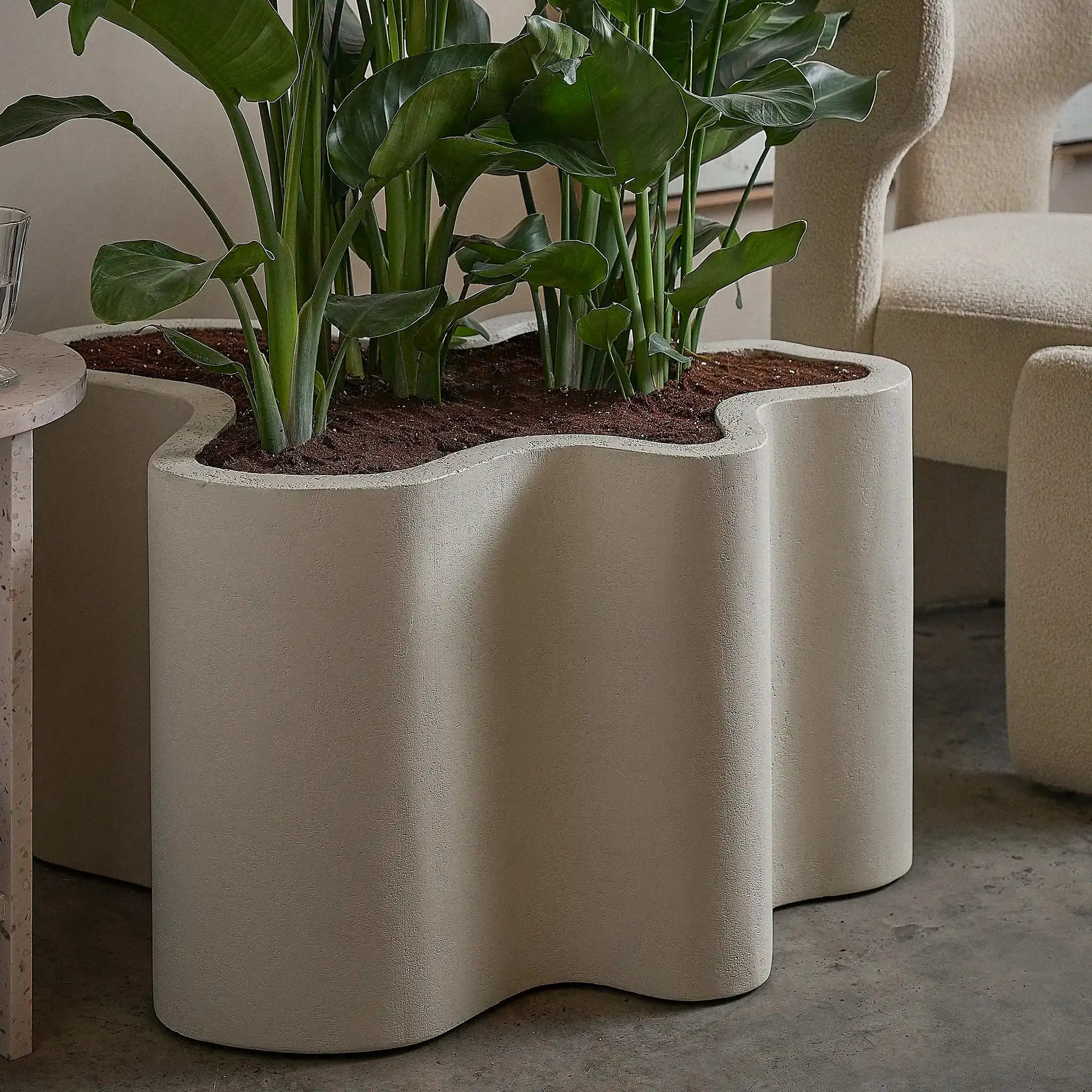 The Rupert Microplaster Planter