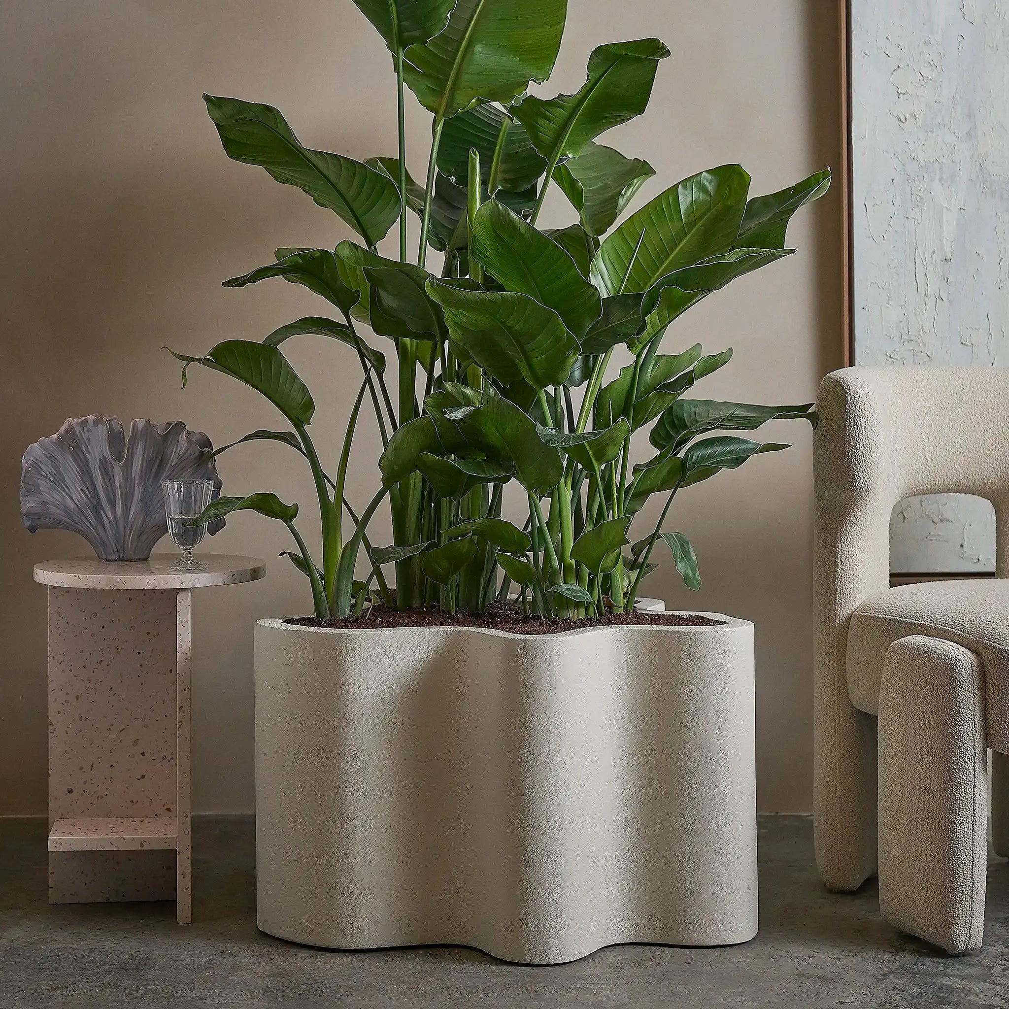 The Rupert Microplaster Planter