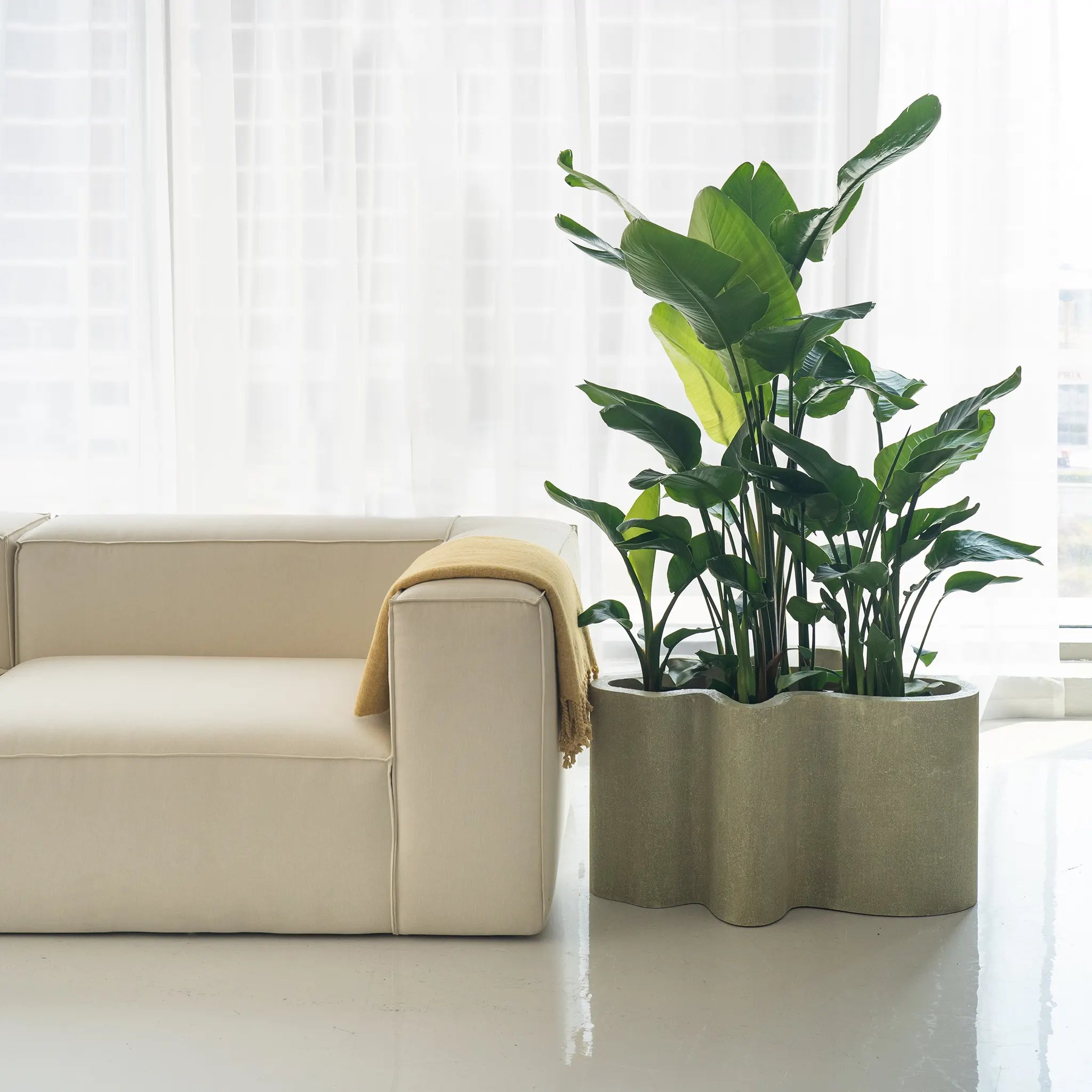 The Rupert Microplaster Planter