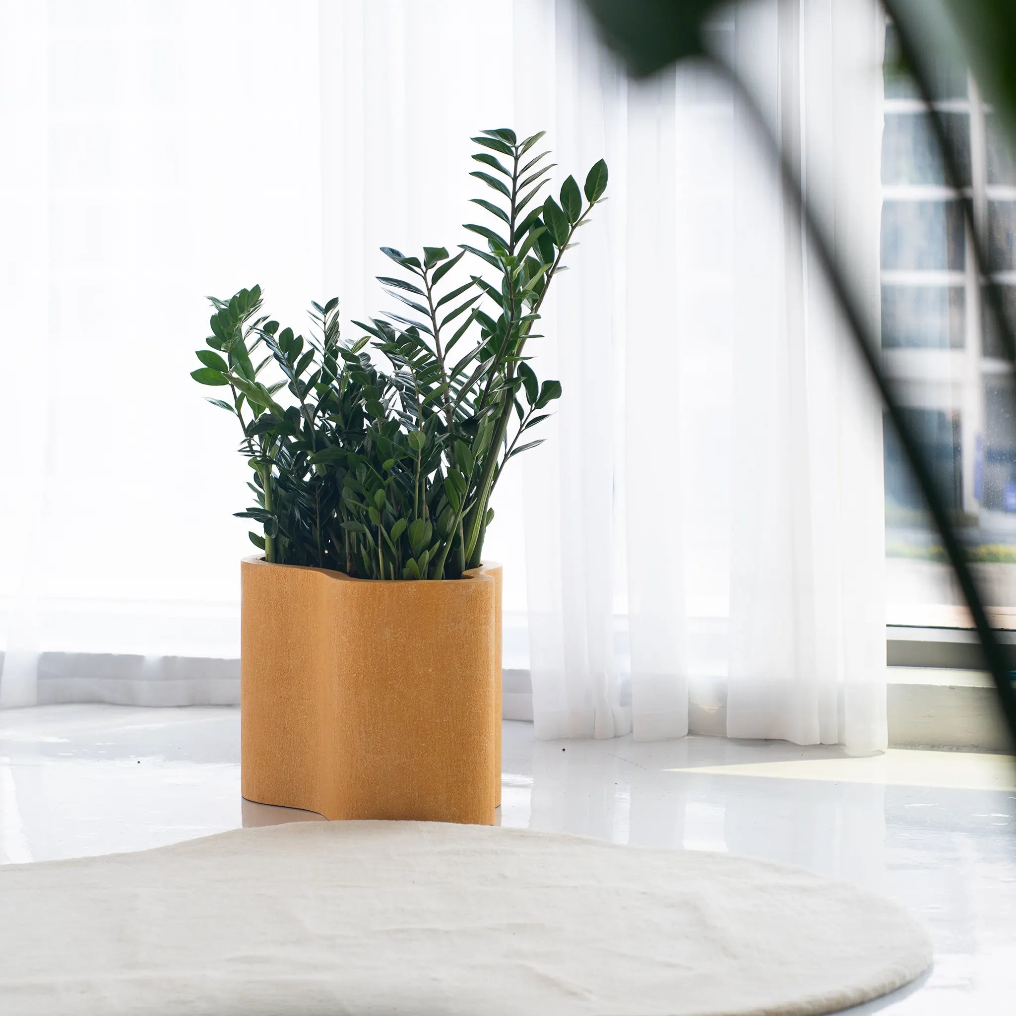 The Rupert Microplaster Planter