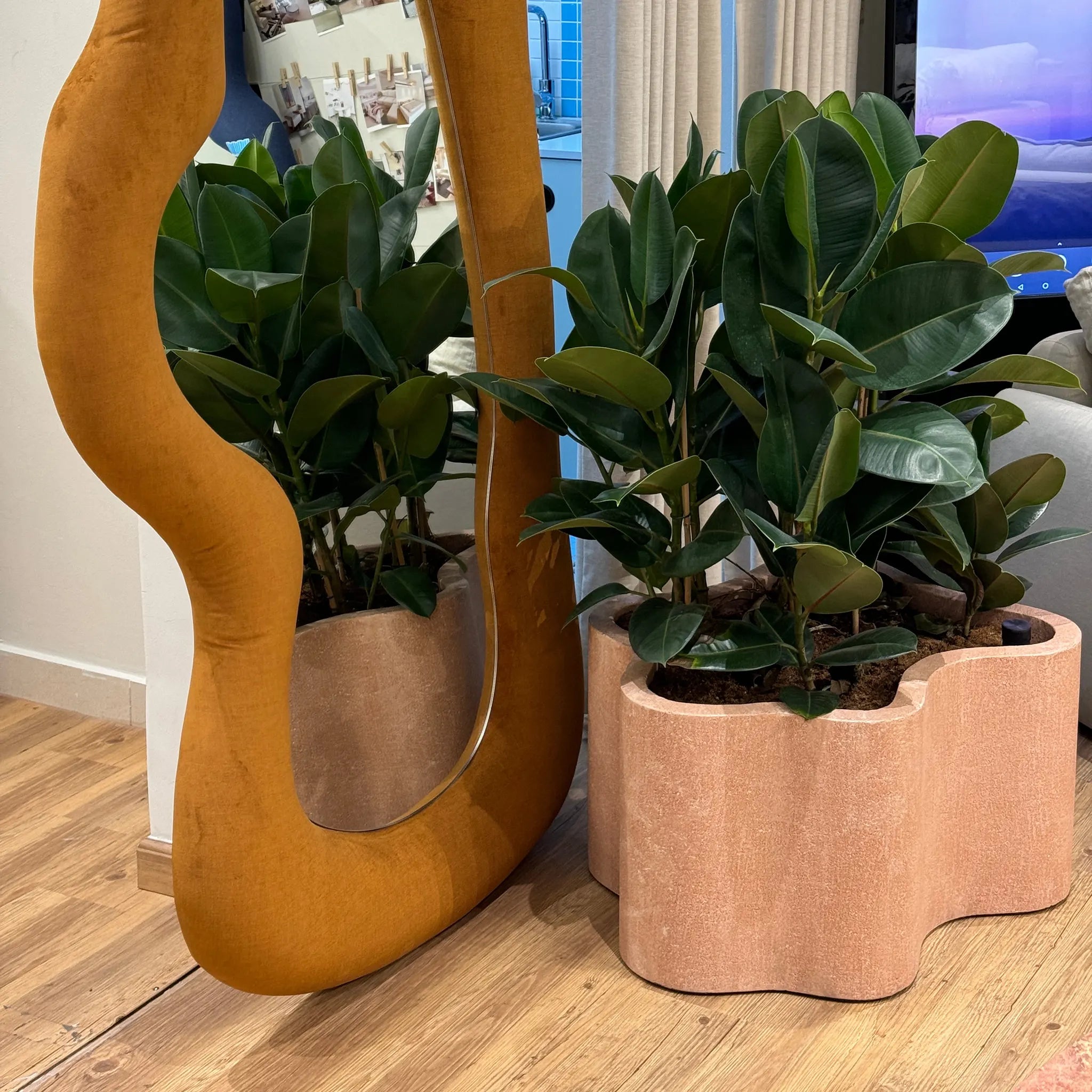 The Rupert Microplaster Planter