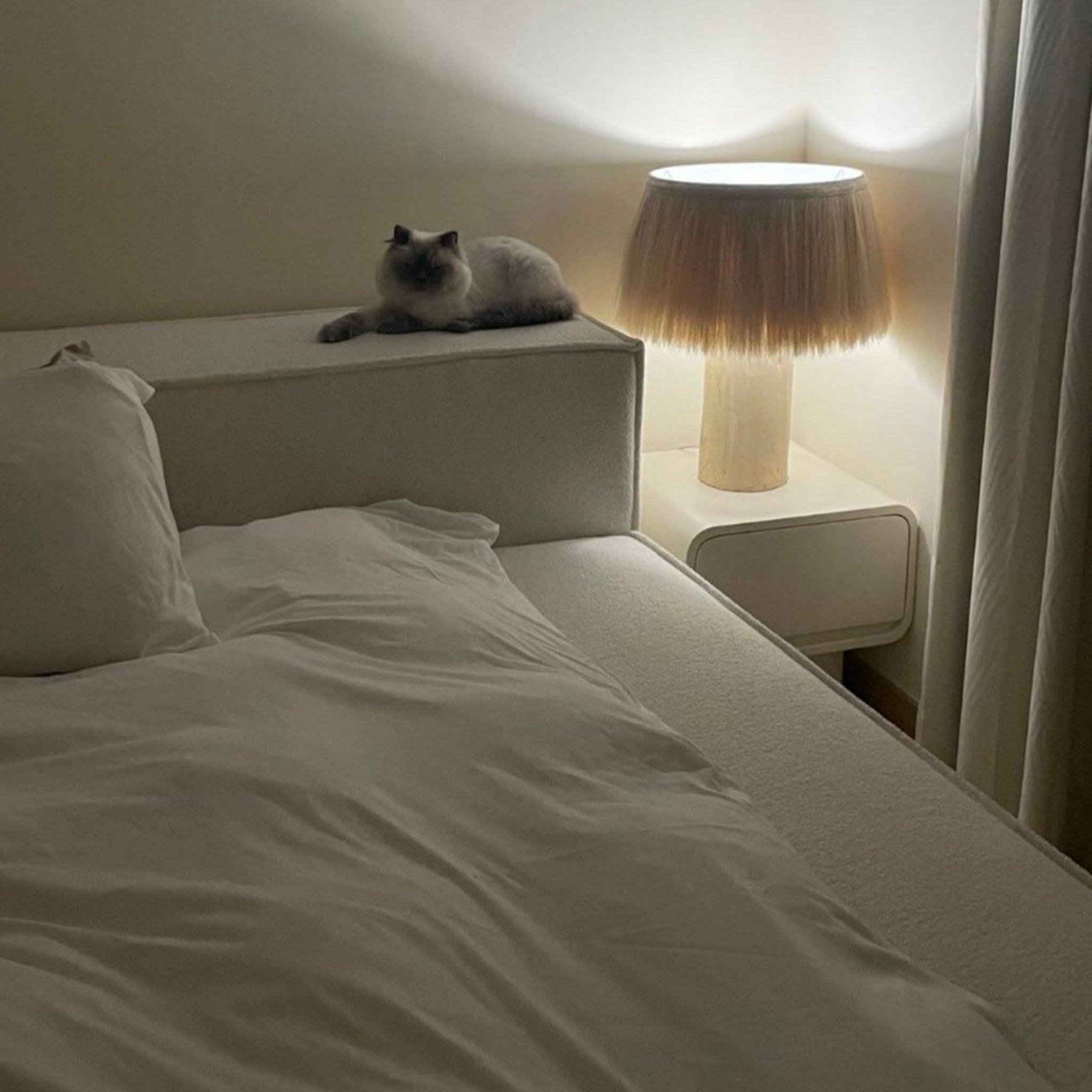 Playful cat perched on a cozy bed with a lamp. Soft bedding for a comfortable cat nap.