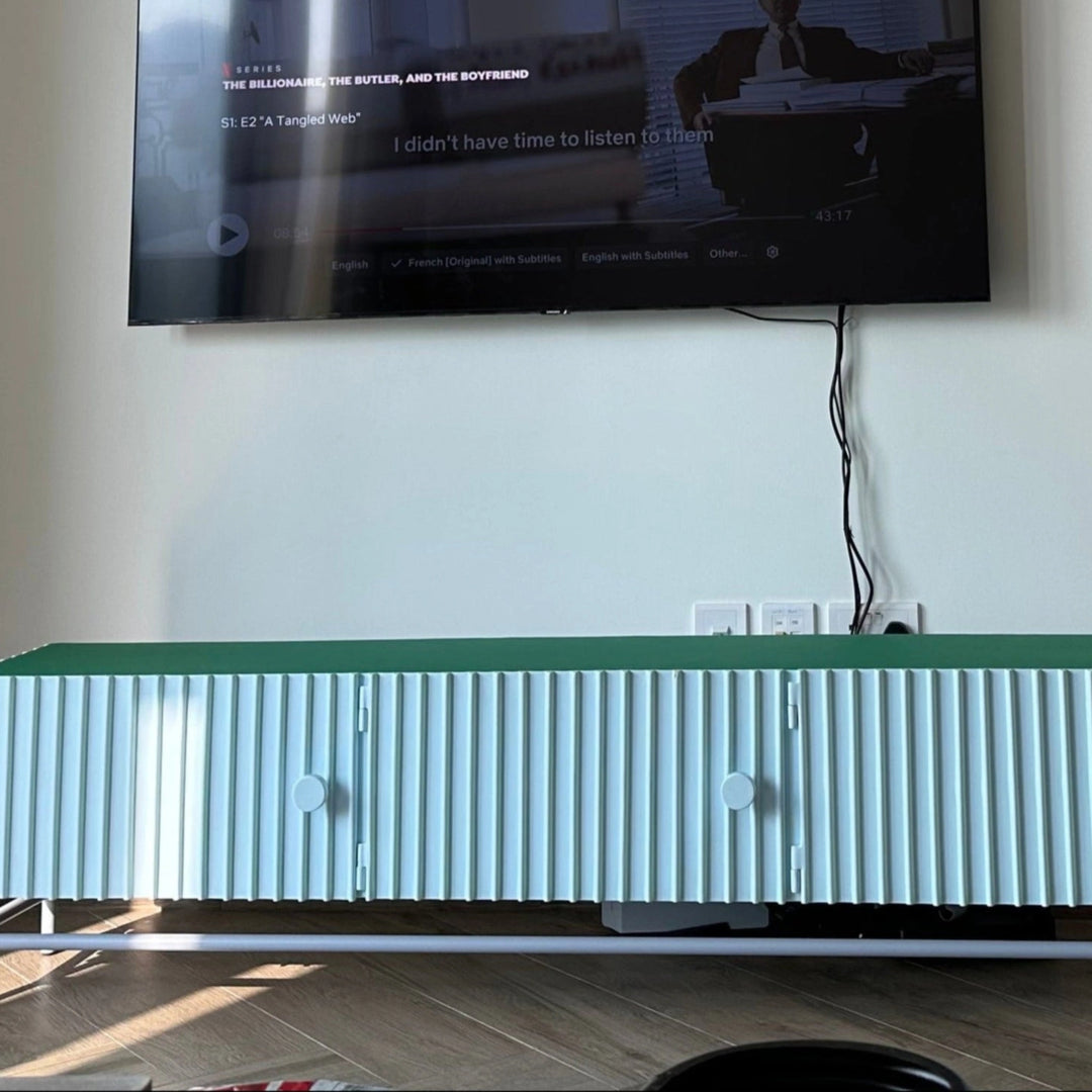 The Rina TV Unit