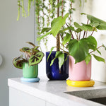 Load image into Gallery viewer, Planter Churros Pink – Stoneware Decorative Planter with Colorful Design