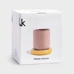 Load image into Gallery viewer, Planter Churros Pink – Stoneware Decorative Planter with Colorful Design