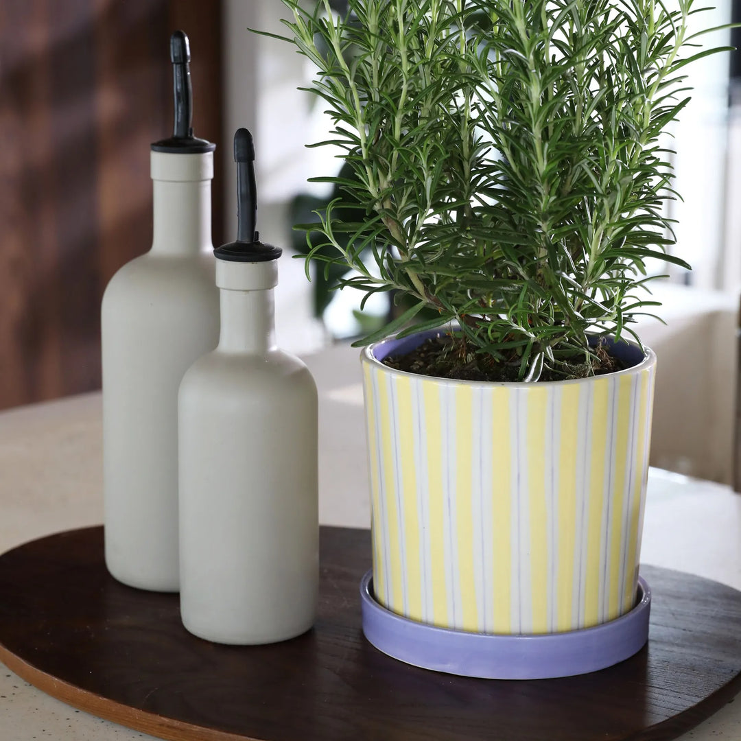 Planter Ray Yellow – Porcelain Decorative Planter with Hand-Painted Striped Design