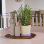 تحميل وتشغيل الفيديو في عارض المعرض، Planter Ray Yellow – Porcelain Decorative Planter with Hand-Painted Striped Design