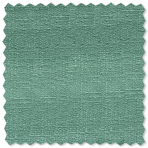 Fern