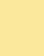 Load image into Gallery viewer, Yellow
